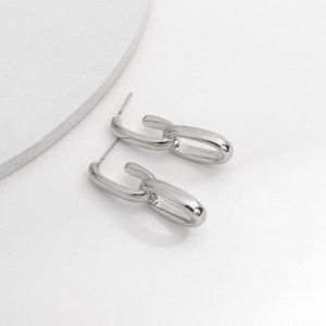 Silver double chain link earrings
